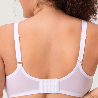Wired Mesh Lace