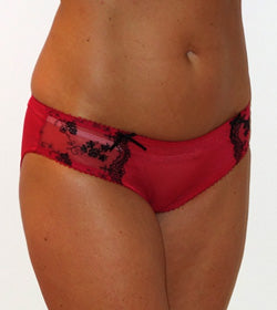 Bassoni Embroidered Mesh Brief Red